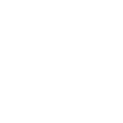 City Tour